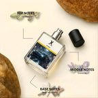 Le Male Eau de Parfum – Unisex Cardamom Lavender Vanilla Amber Fragrance